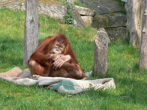 Berlin Germany Zoo