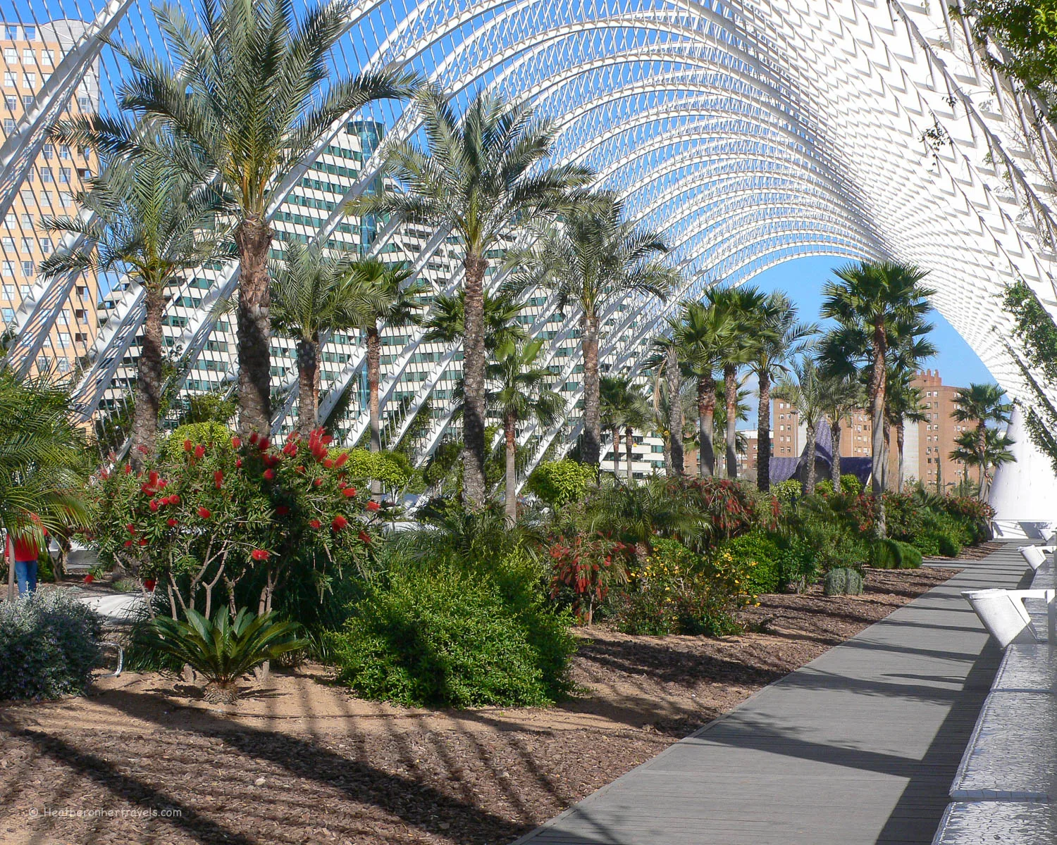 L'Umbracle at City of Arts and Sciences