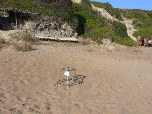 Turtle nesting at Gerakas Beach