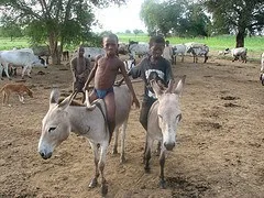 Boys on donkeys in Wiaga, Ghana