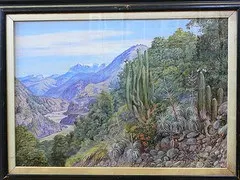 Paintings in the Marianne North Gallery at Kew