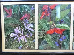 Paintings in the Marianne North Gallery at Kew