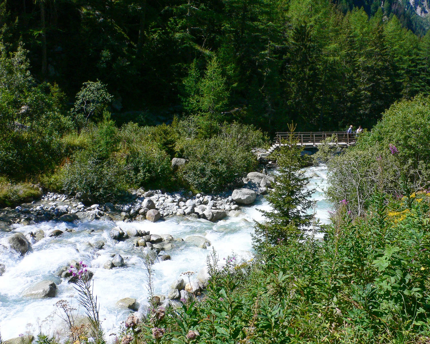 River below Glacier du Trient