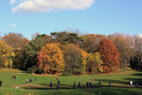 Prospect Park in New York Photo: forklift of Flickr