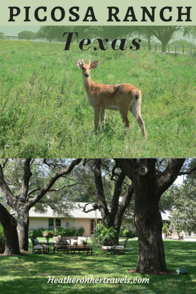 Picosa Ranch Texas USA