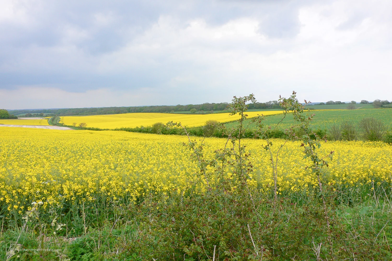 The South Downs Way near Winchester Photo: Heatheronhertravels.com