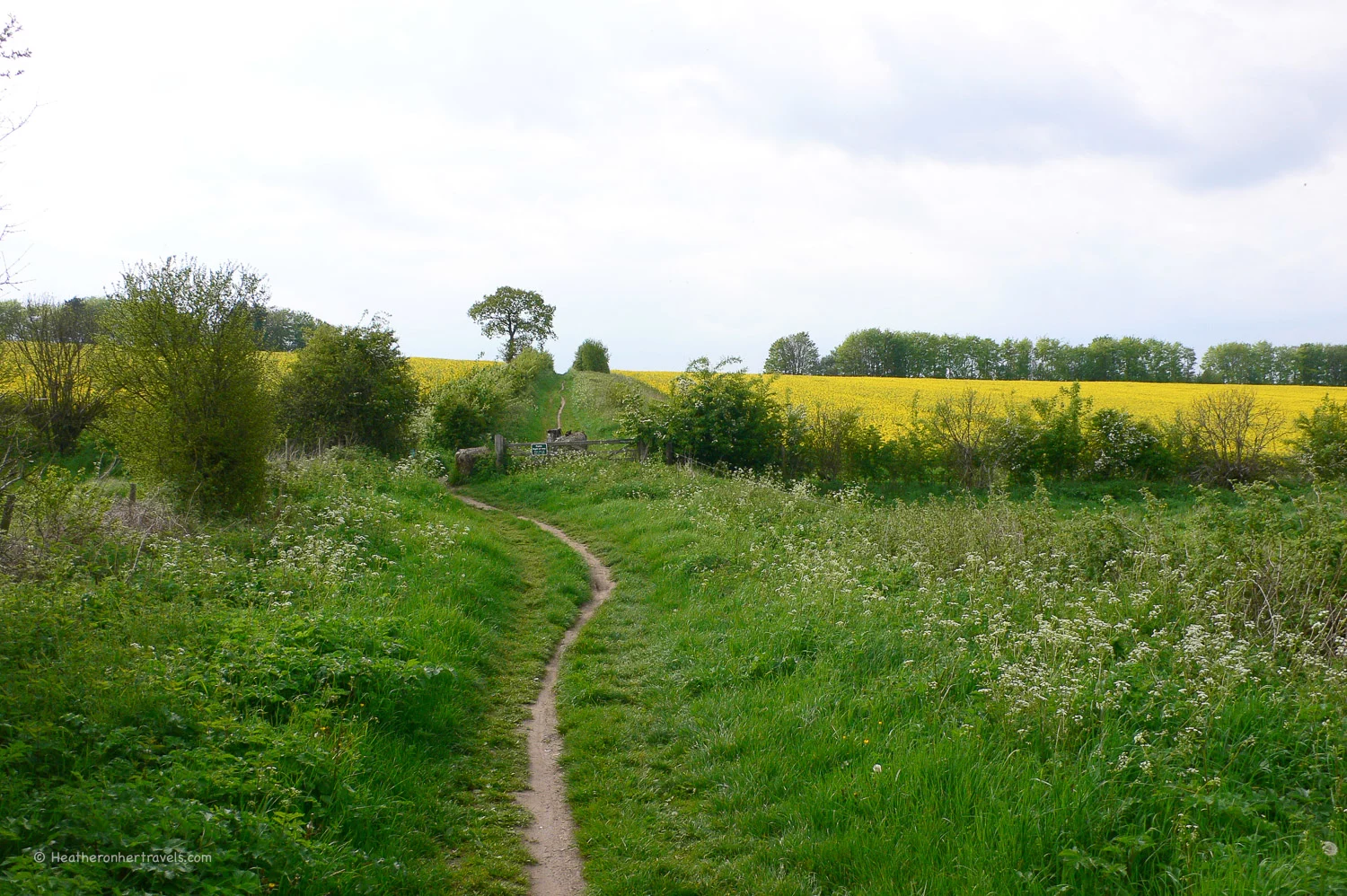 The South Downs Way near Winchester Photo: Heatheronhertravels.com