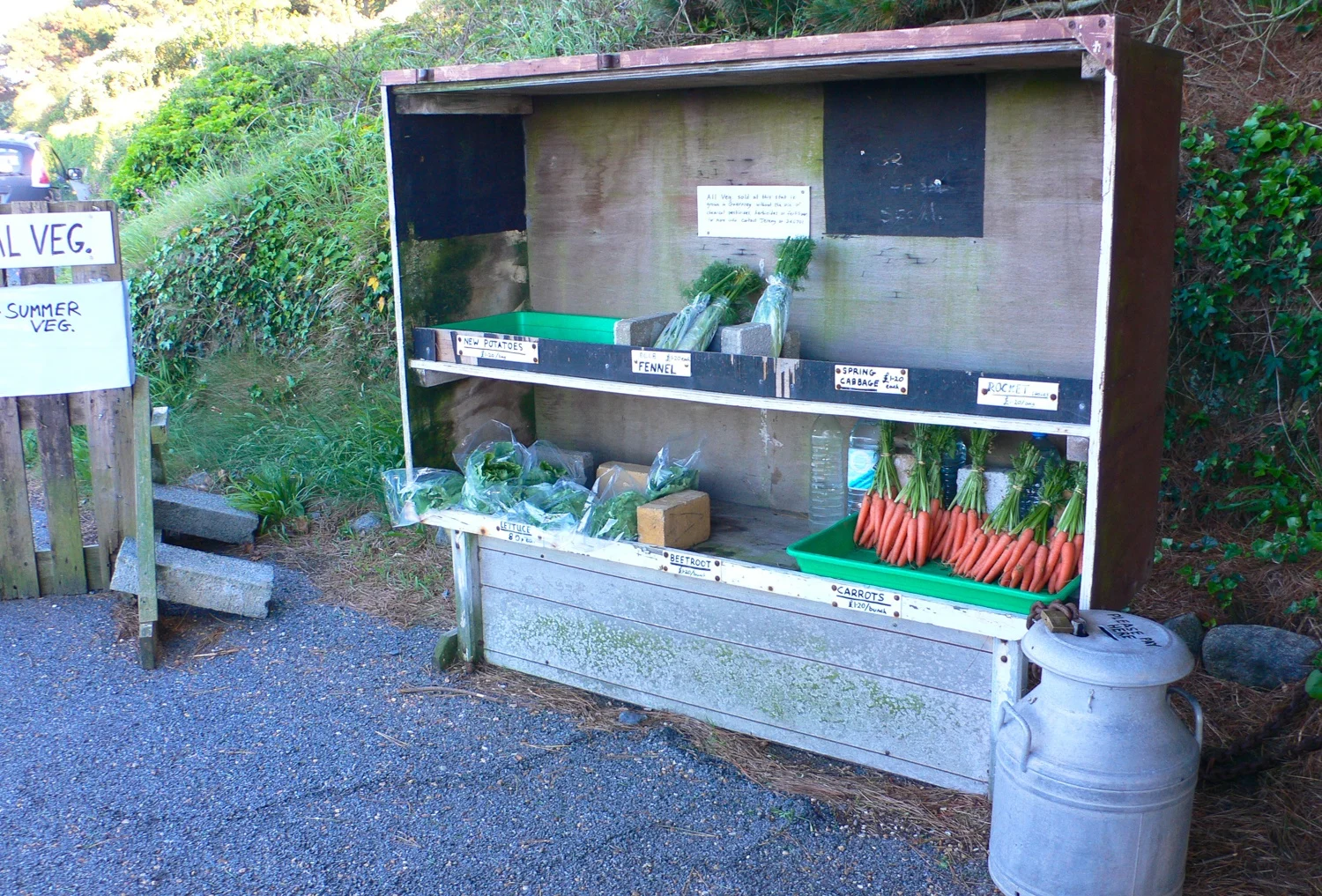 Hedge Veg - Guernsey Food Photo Heatheronhertravels.com