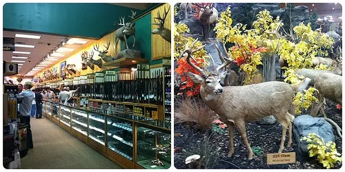 Cabela's Hunting Store at Buda, Texas Photo: Heatheronhertravels.com