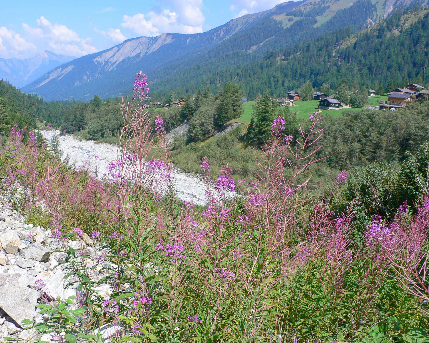 The river heading for La Fouly on the Tour de Mont Blanc