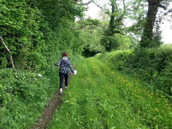 Walk through the Melbury Estate near Evershott, Dorset Photo: Heatheronhertravels.com