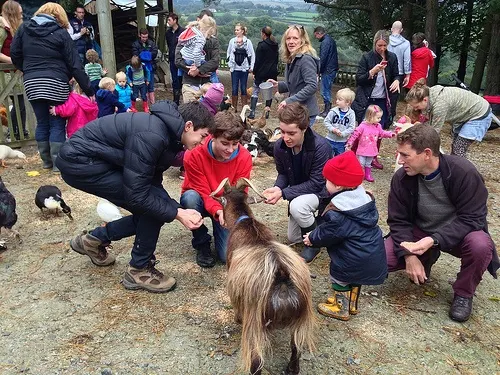 Bosinver Farm Cottages: Feeding the animals Photo: Heatheronhertravels.com