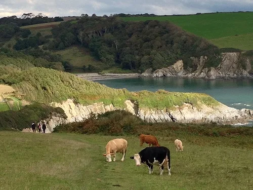 View from Gribbin Head to Polridmouth cove Photo: Heatheronhertravels.com