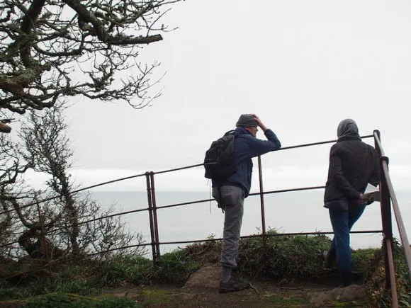 Cliff Walk near Clovelly Village, North Devon