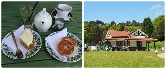 Tea and Welsh cakes at the pavilion in Cwmdonkin Park in Swansea Photo: Heatheronhertravels.com