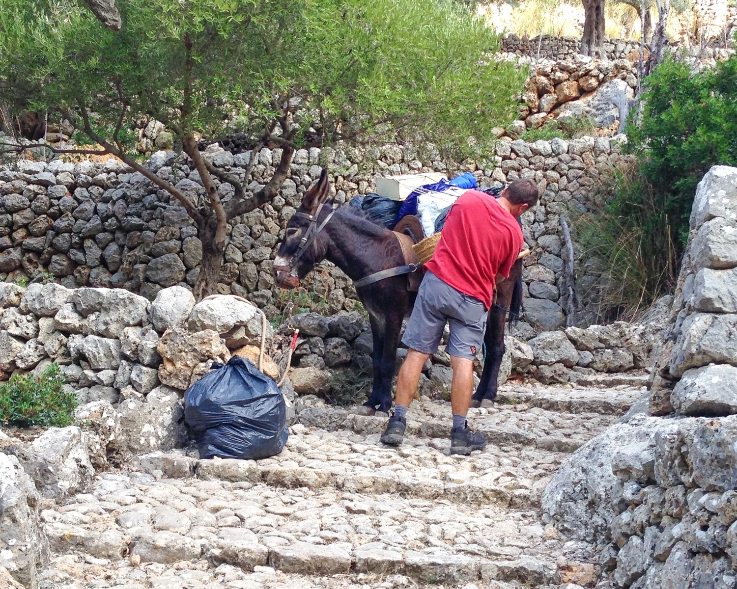 GR221 Dry Stone Route Mallorca Photo Heatheronhertravels.com