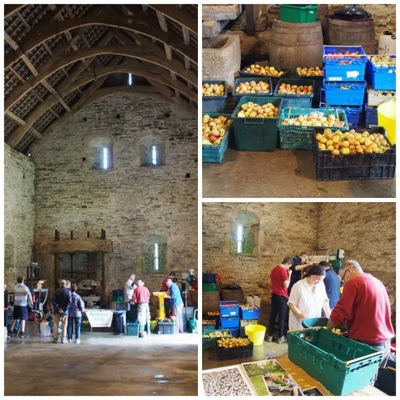 Cider making in the Great Barn at Buckland Abbey, Devon Photo: Heatheronhertravels.com