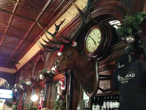 The Stag's Head in Dublin Photo: Heatheronhertravels.com