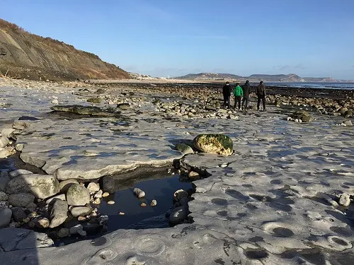 The ammonite pavement at Lyme Regis Photo: Heatheronhertravels.com