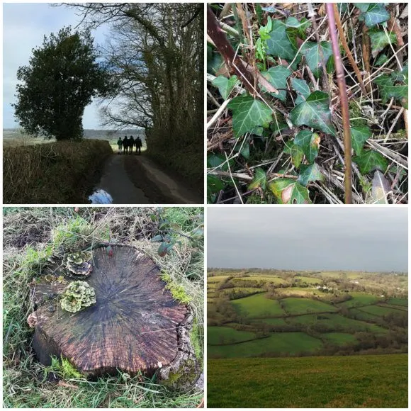 A country walk on Dumpdon Hill Fort in Devon Photos: Heatheronhertravels.com