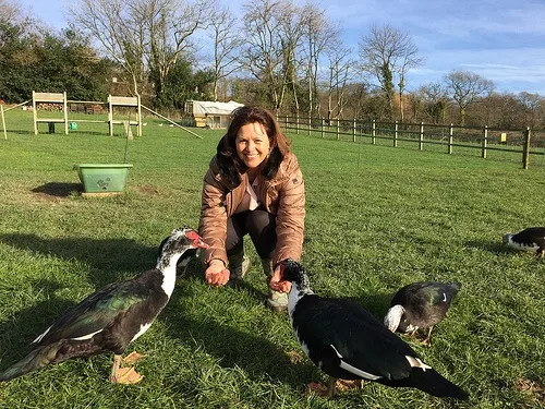 Feeding the ducks at Red Doors Farm in Devon Photo: Heatheronhertravels.com