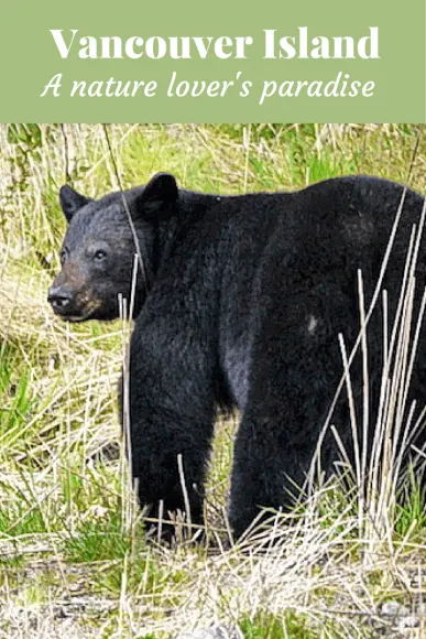 Read about Vancouver Island, a nature lover's paradise