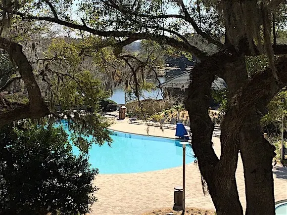 Sawgrass Marriott Pool View