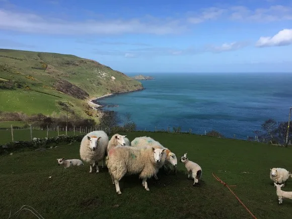 Driving to Torr Head on the Causeway Coast Heatheronhertravels.com