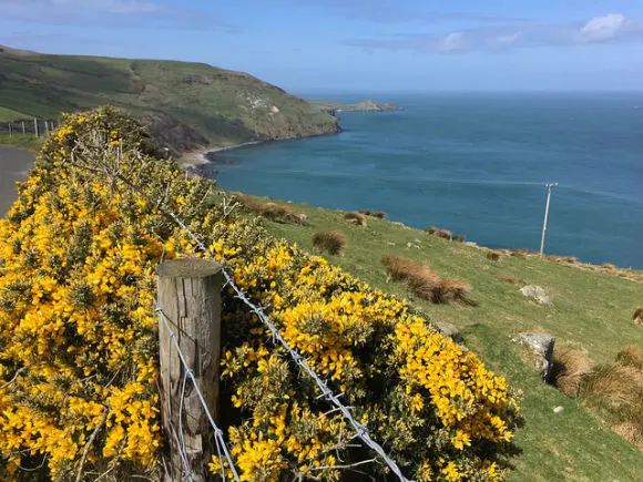 A scenic drive along the Glens Coast of Northern Ireland Photo: Heatheronhertravels.com