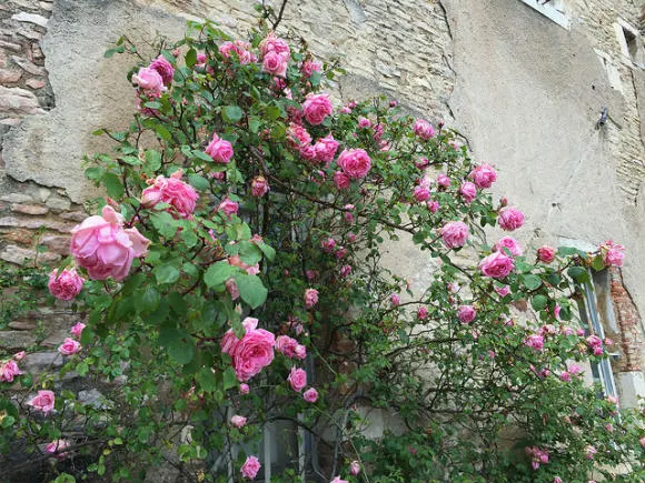 Wine tasting at Chateau Rully near Beaune in Burgundy Heatheronhertravels.com