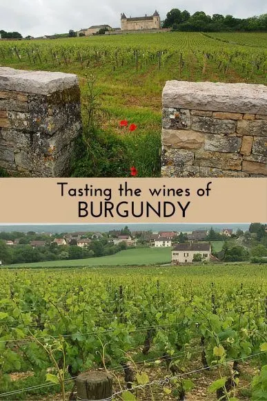 Read about tasting the wines of Burgundy