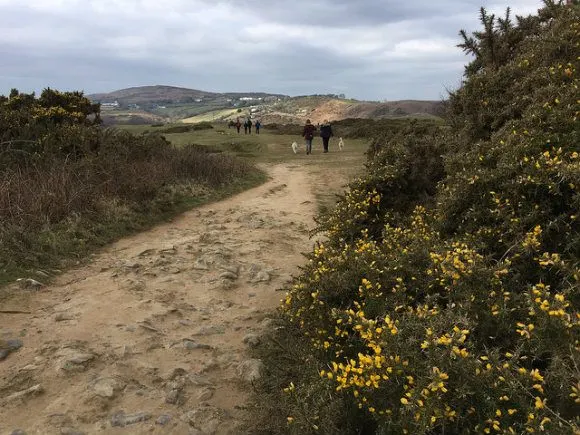 Pennard cliffs on the Gower Peninsula Photo: Heatheronhertravels.com