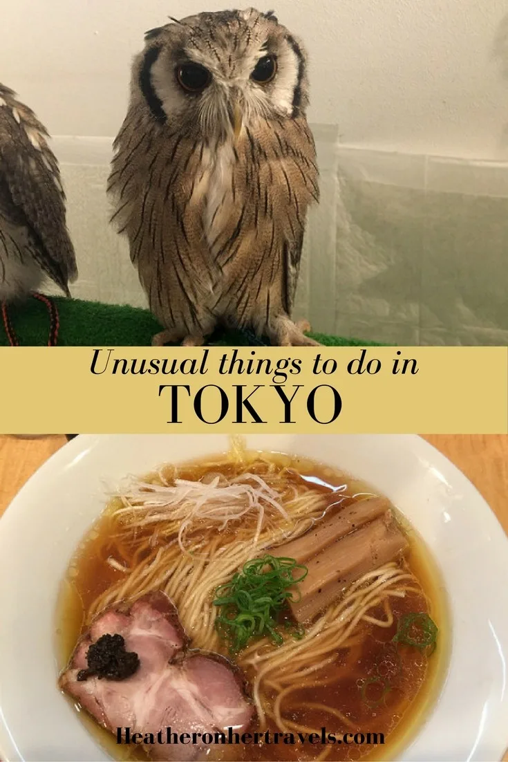 Read about unusual things to do in Tokyo