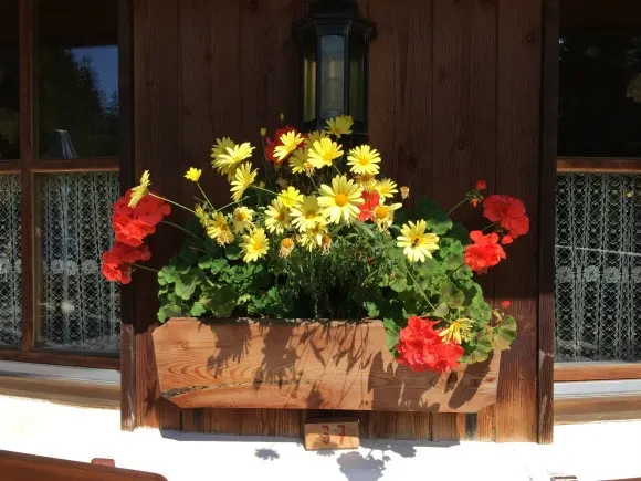 Windowbox at Nigerhutte