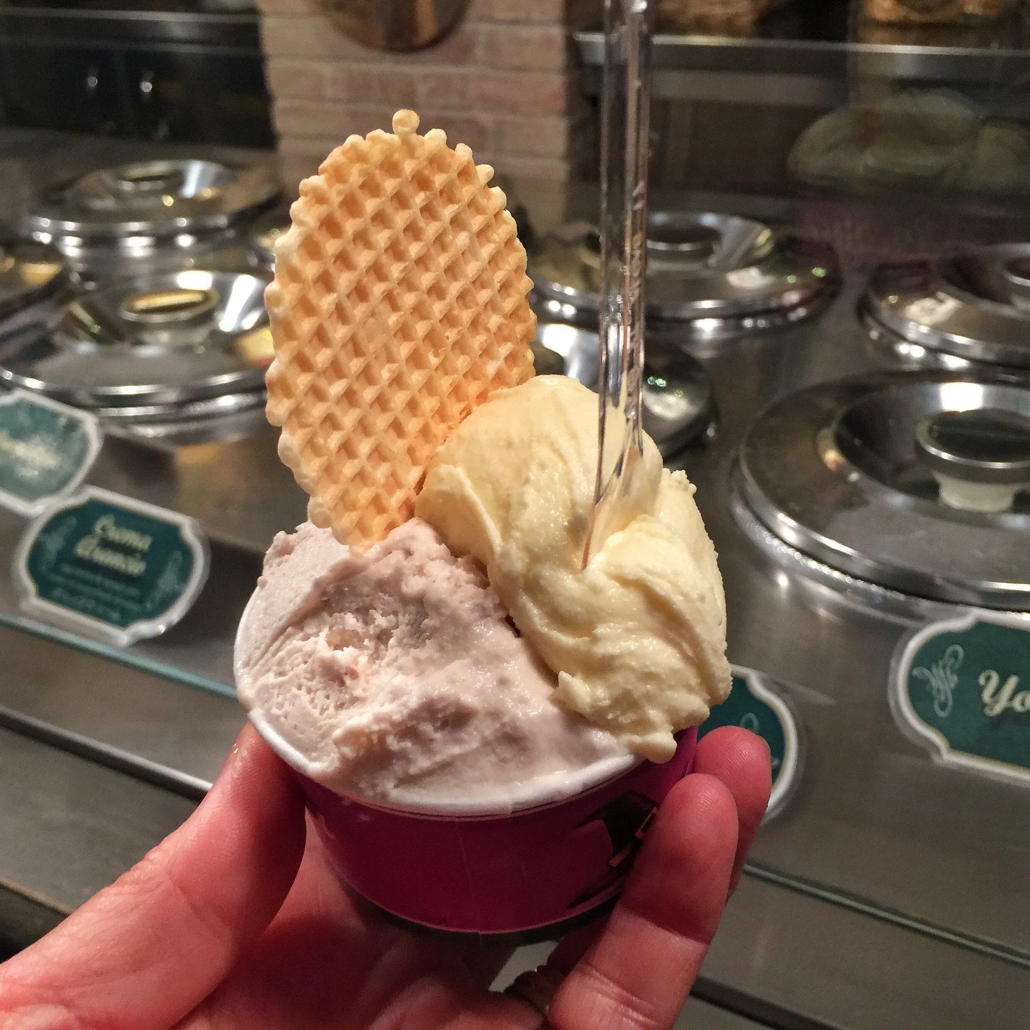 La Strega Nocciola - Gelato in Florence Photo Heatheronhertravels.com