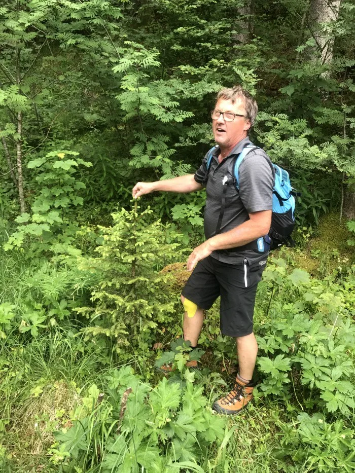 Walk with Herbert Edlinger, Kleinwalsertal, Vorarlberg, Austria Photo: Heatheronhertravels.com