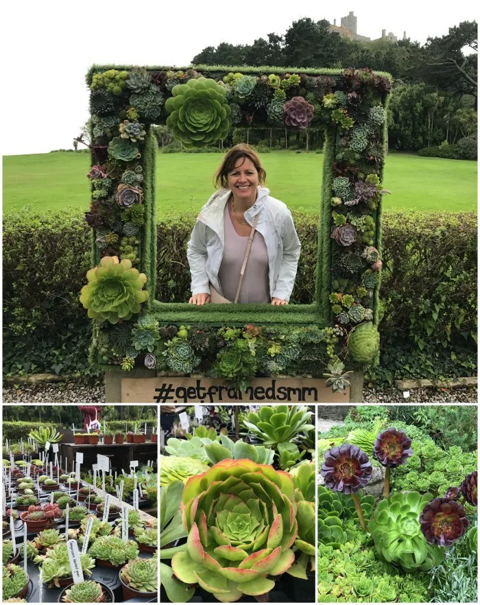 Gardens at St Michaels Mount