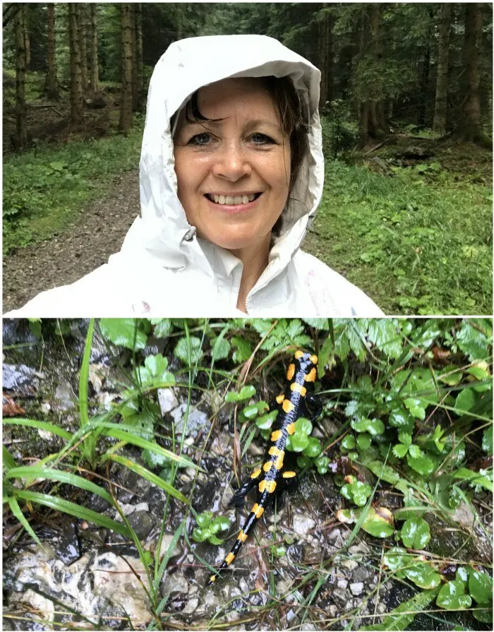 Hiking through the forest in Almtal Photo: Heatheronhertravels.com