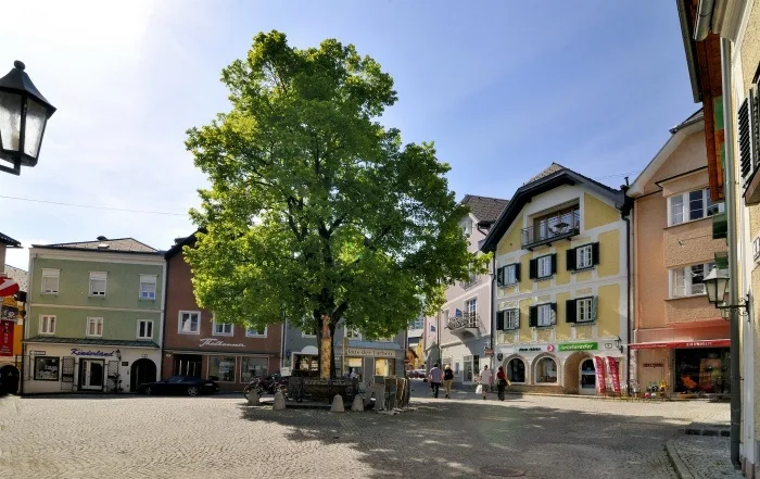 Medieval houses in Gmunden