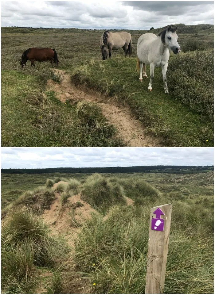 Sand dunes in Anglesey Photo: Heatheronhertravels.com