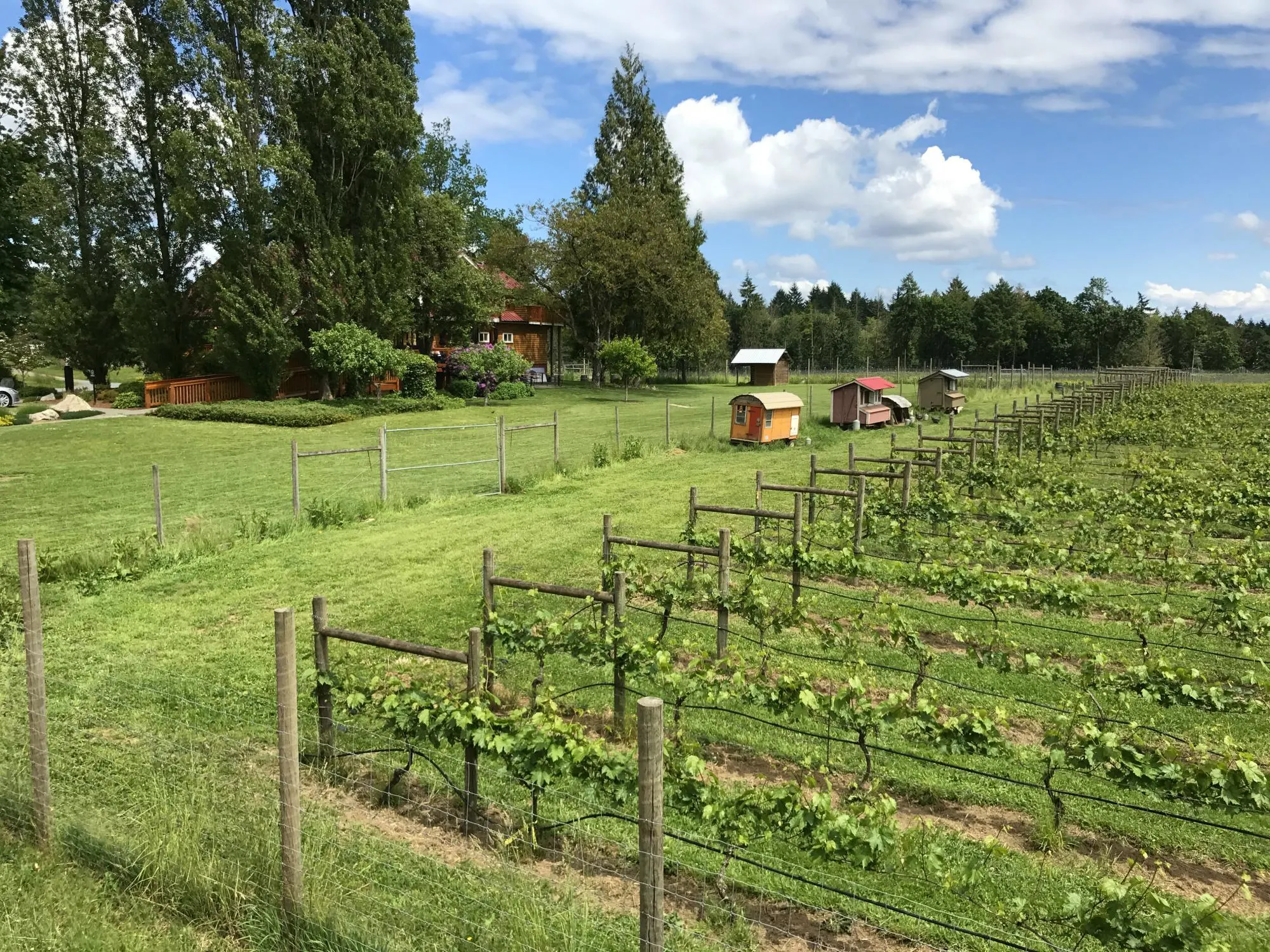 Fine Dining Victoria - Unsworth winery in Cowichan Valley Photo: Heatheronhertravels.com