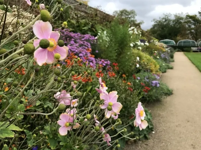 Oxford Botanic garden photo - weekend in Oxford Heatheronhertravels.com