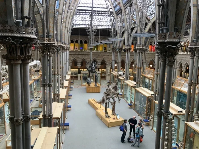 Oxford Natural History Museum - weekend in Oxford Photo Heatheronhertravels.com