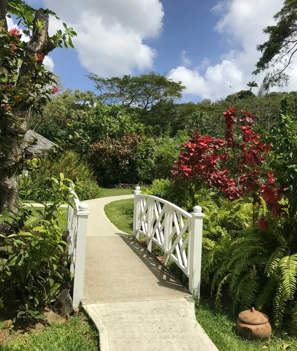 Botanic gardens at East Winds St Lucia photo: Heatheronhertravels.com