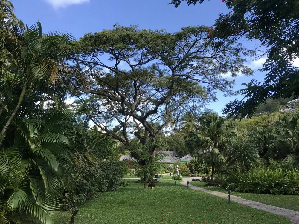 Botanic Gardens at East Winds St Lucia - Things to do in St Lucia