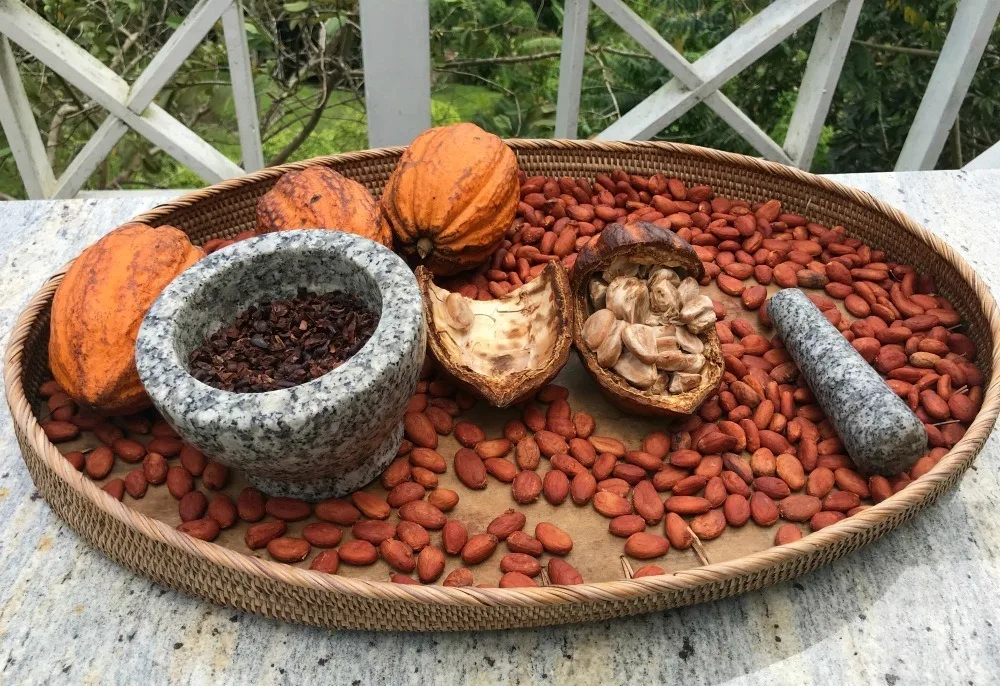 Cocoa beans in St Lucia - Things to do in St Lucia Photo Heatheronhertravels.com