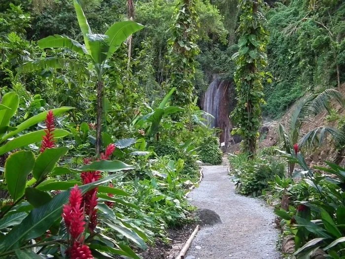 Diamond Falls Botanic Garden - Things to do in St Lucia