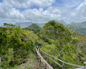 Tet Paul Nature Reserve St Lucia Photo Heatheronhertravels.com