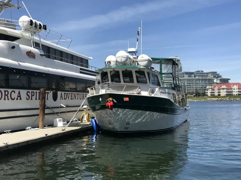 Whale Watching trip from Victoria Photo: Heatheronhertravels.com