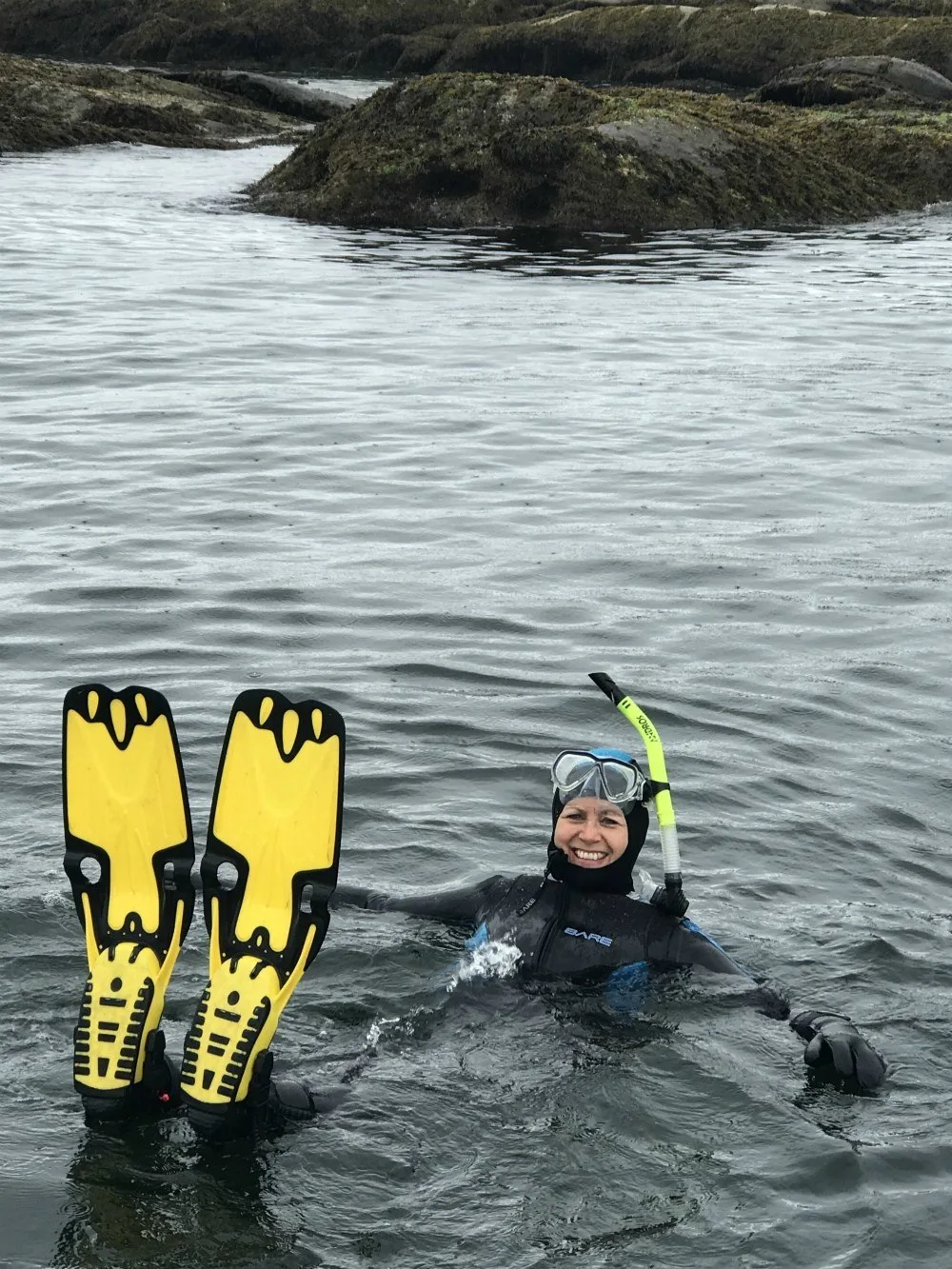 Snorkeling with seals in Nanaimo Photo: Heatheronhertravels.com